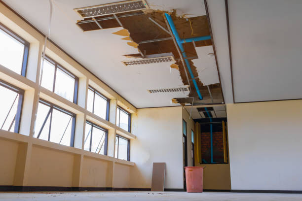 Best Flooded house restoration  in Indian River Estates, FL