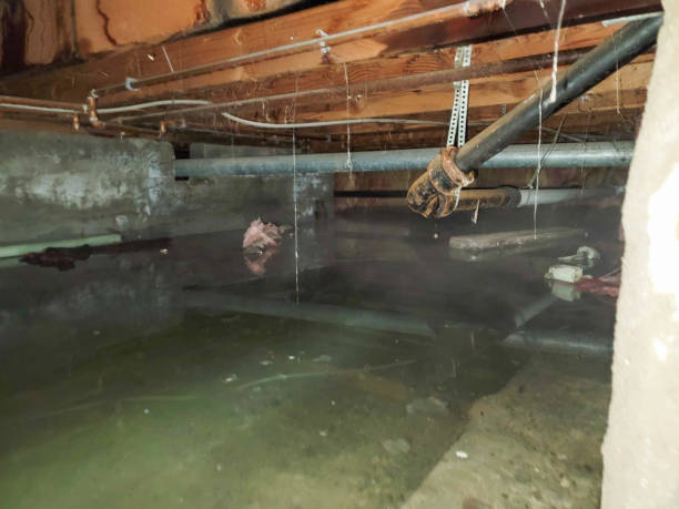 Water damage restoration insurance claims in FL