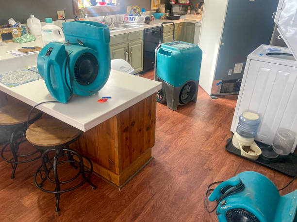 Best Ceiling water damage repair  in Indian River Estates, FL