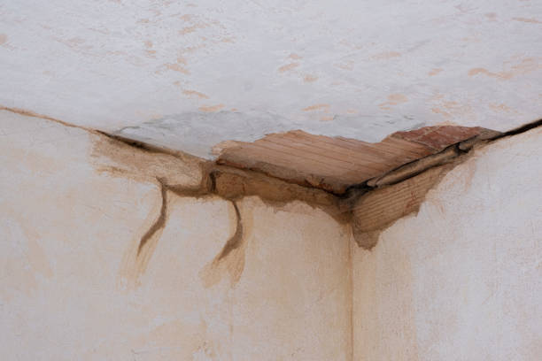 Best Sewage cleanup and water damage restoration  in Indian River Estates, FL