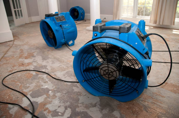 Best Water damage restoration insurance claims  in Indian River Estates, FL