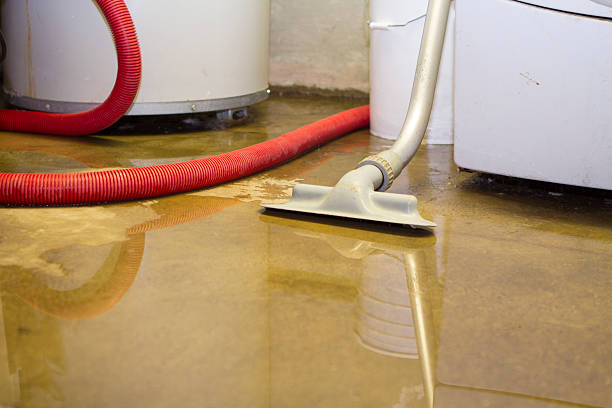 Best Carpet water damage restoration  in Indian River Estates, FL