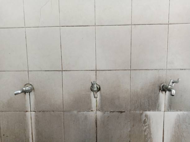 Best Flood damage cleanup  in Indian River Estates, FL