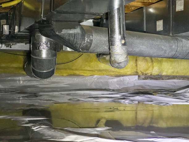 Best 24-hour water damage restoration  in Indian River Estates, FL