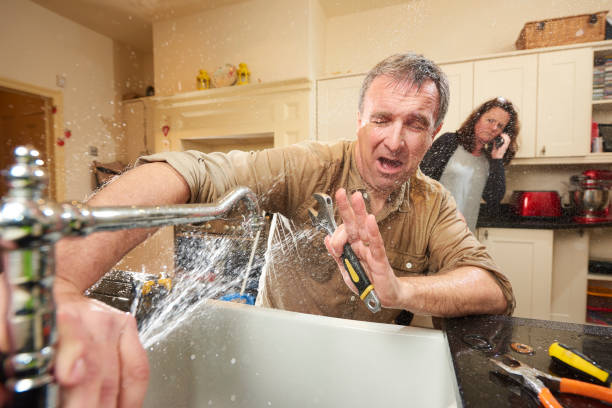 Best Professional water damage repair  in Indian River Estates, FL